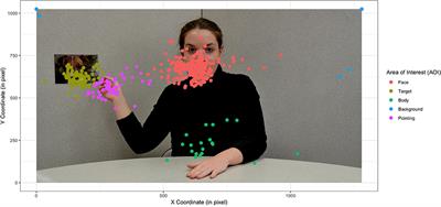 Visual Exploration of Dynamic or Static Joint Attention Bids in Children With Autism Syndrome Disorder